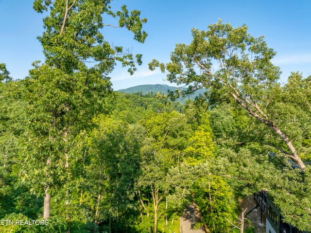 Loop Rd, Gatlinburg, TN 37738