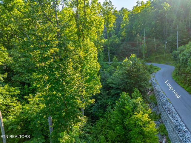 Loop Rd, Gatlinburg, TN 37738