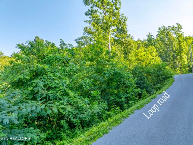 Loop Rd, Gatlinburg, TN 37738