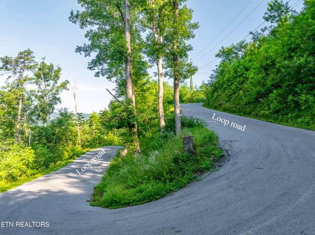Loop Rd, Gatlinburg, TN 37738