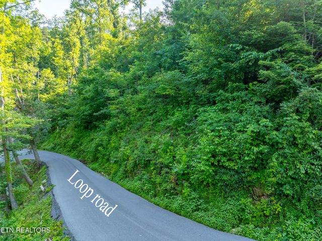 Loop Rd, Gatlinburg, TN 37738