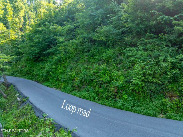 Loop Rd, Gatlinburg, TN 37738