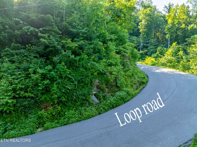 Loop Rd, Gatlinburg, TN 37738