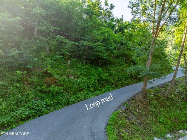 Loop Rd, Gatlinburg, TN 37738