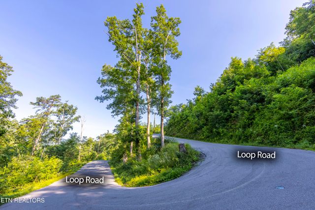 Loop Rd, Gatlinburg, TN 37738