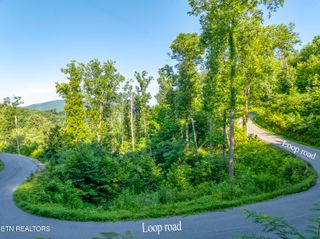 Loop Rd, Gatlinburg, TN 37738