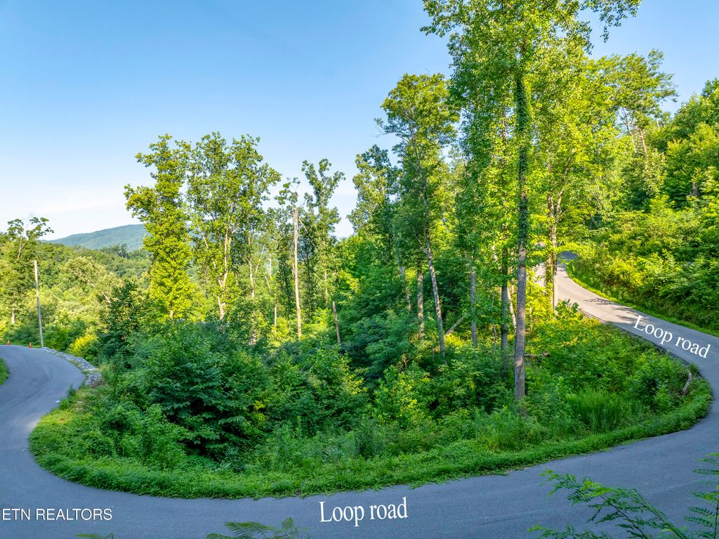 Loop Rd, Gatlinburg, TN 37738