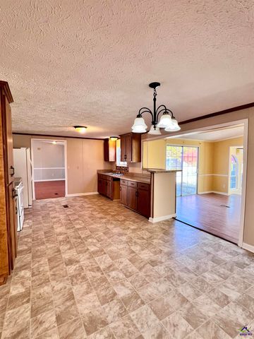 103 Henderson Springs Road, Elko, GA 31025