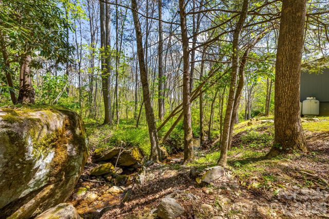 874 & 888 Bluff Mountain Road, Hot Springs, NC 28743