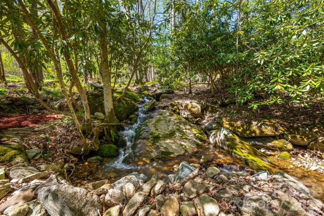 874 & 888 Bluff Mountain Road, Hot Springs, NC 28743
