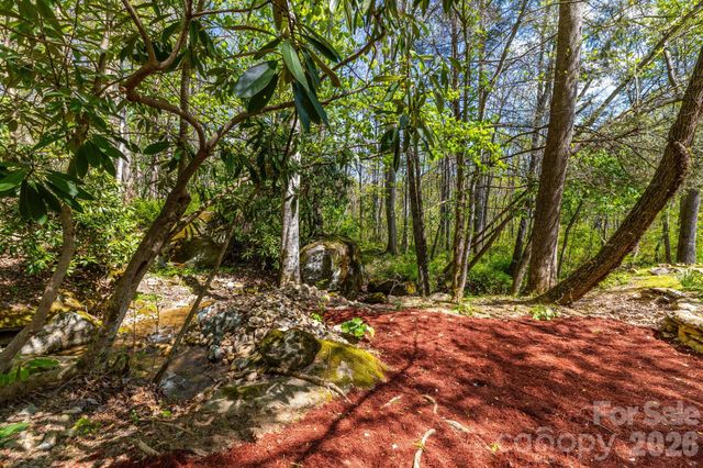 874 & 888 Bluff Mountain Road, Hot Springs, NC 28743