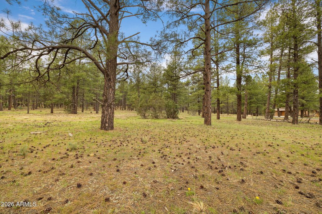 Image 22 of property listing at 318 W AVA J Circle 30, Munds Park, AZ 86017
