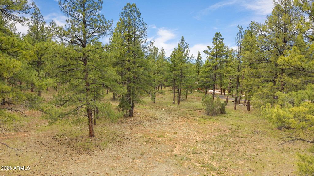 Image 7 of property listing at 318 W AVA J Circle 30, Munds Park, AZ 86017