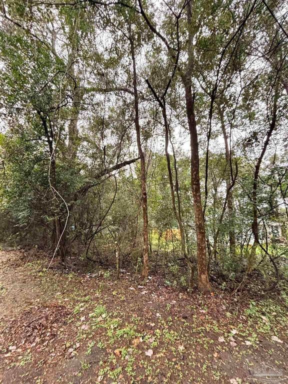 0000 Limit St, Milton, FL 32583