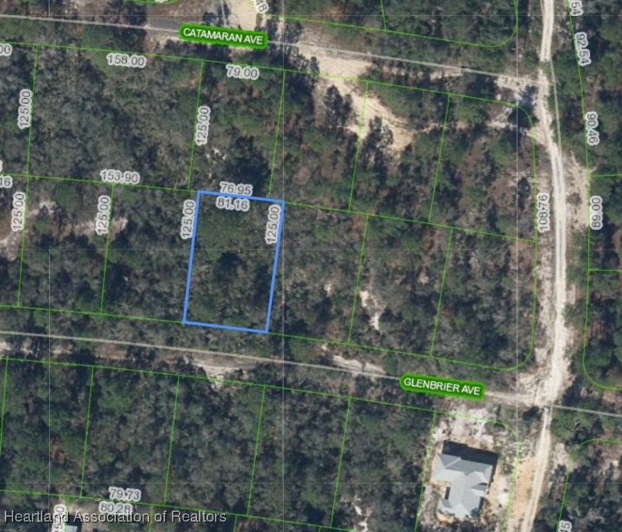 334 Glenbrier Avenue, Lake Placid, FL 33852