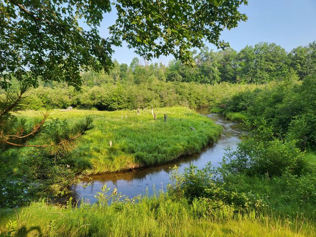 6960 Trem Pal, Grayling, MI 49738