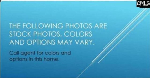 342 Meadow Ridge Road, Chapin, SC 29036