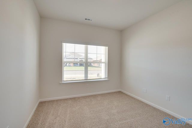 113 Duskwood Drive, Madison, AL 35749