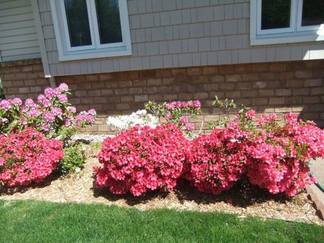 2921 Rosewood Street, Hudsonville, MI 49426