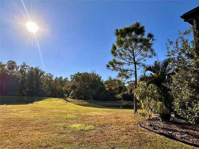 28450 TRANQUIL LAKE CIRCLE, Wesley Chapel, FL 33543