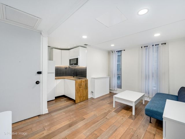 21 W Goethe Street 2D, Chicago, IL 60610