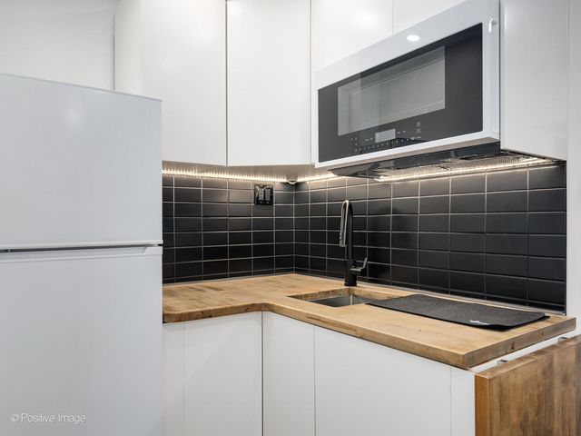 21 W Goethe Street 2D, Chicago, IL 60610