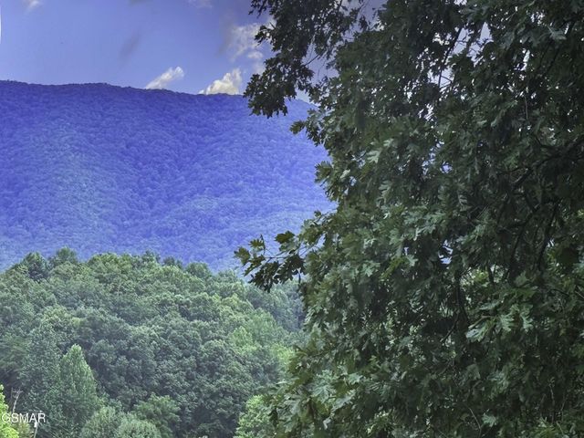 14 Boxwood Lane, Sevierville, TN 37862