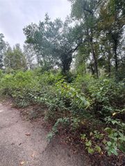 0 Cottonwood Place, Splendora, TX 77372