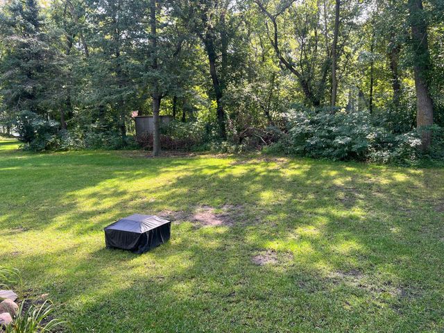 24553 608th Avenue, Litchfield, MN 55355