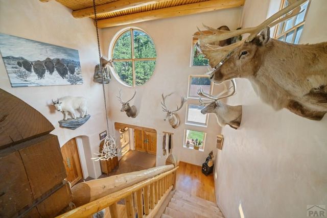 8221 Cuerna Verde Rd, Rye, CO 81069