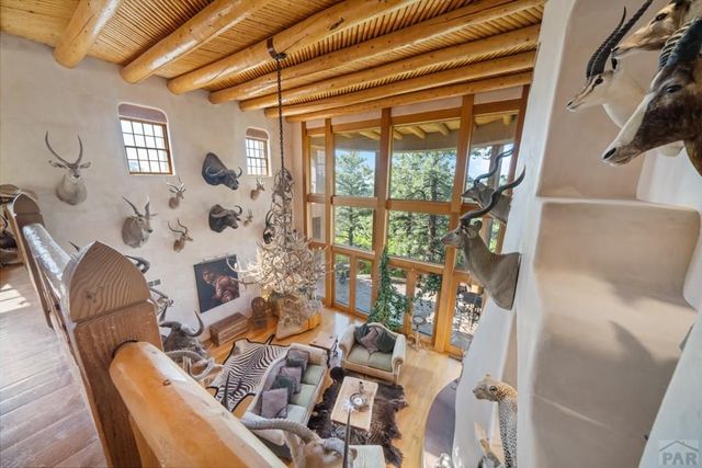 8221 Cuerna Verde Rd, Rye, CO 81069