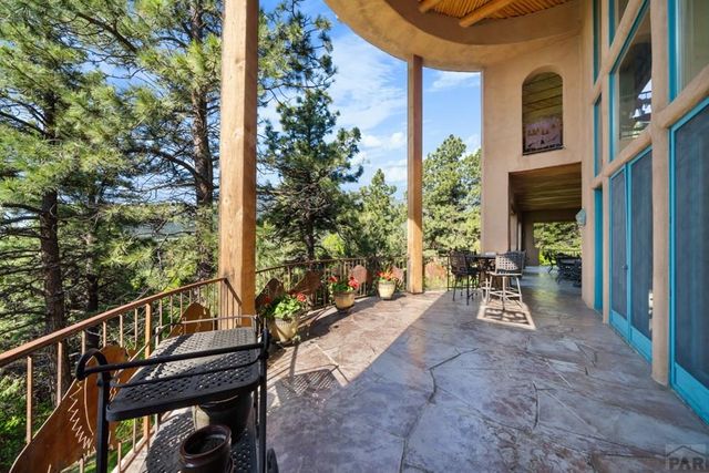 8221 Cuerna Verde Rd, Rye, CO 81069