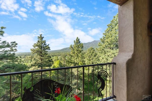 8221 Cuerna Verde Rd, Rye, CO 81069