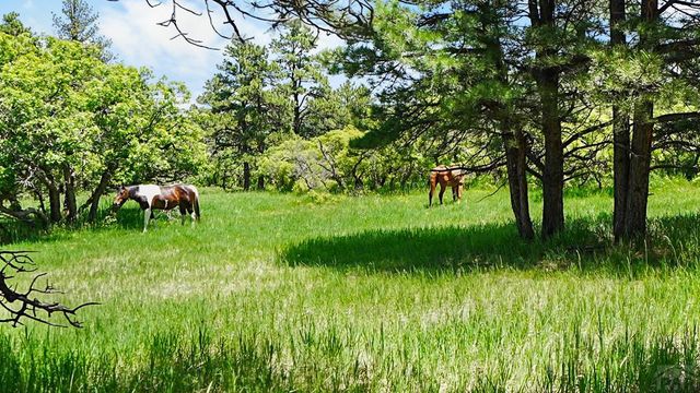 8221 Cuerna Verde Rd, Rye, CO 81069