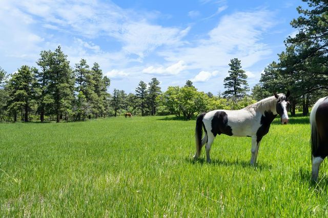 8221 Cuerna Verde Rd, Rye, CO 81069