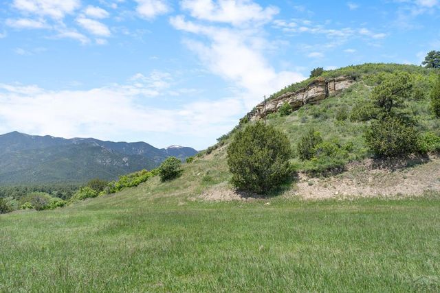 8221 Cuerna Verde Rd, Rye, CO 81069