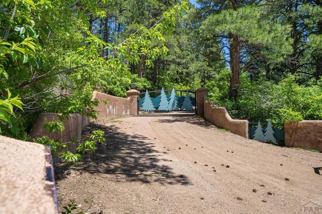 8221 Cuerna Verde Rd, Rye, CO 81069