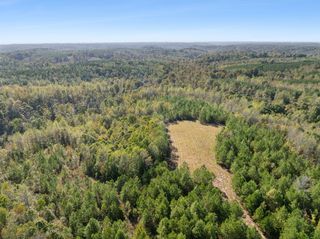 0 Cox Hollow Rd, Dover, TN 37058