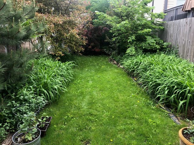 1222 N Campbell Avenue 1F, Chicago, IL 60622