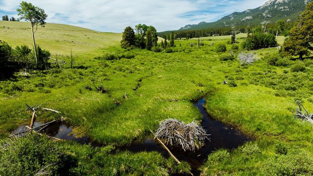 Hazelton Road, Buffalo, WY 82834