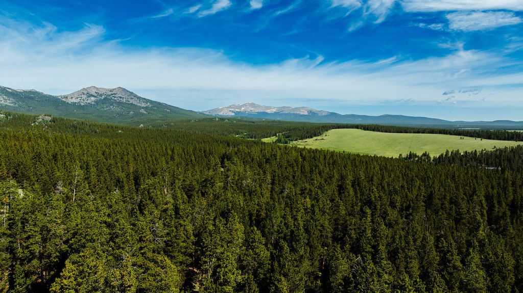 Hazelton Road, Buffalo, WY 82834 photo 12