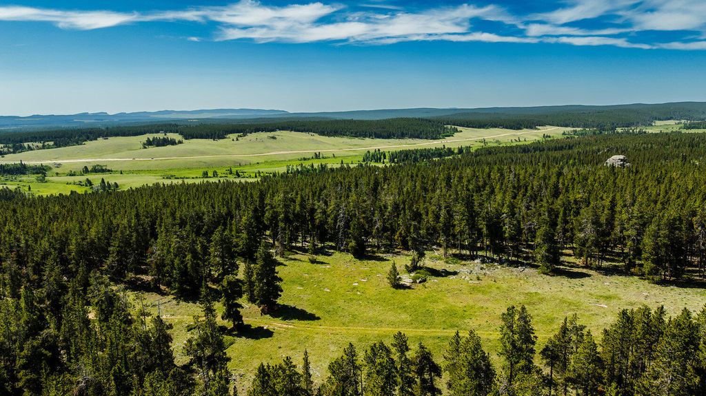 Hazelton Road, Buffalo, WY 82834 photo 13