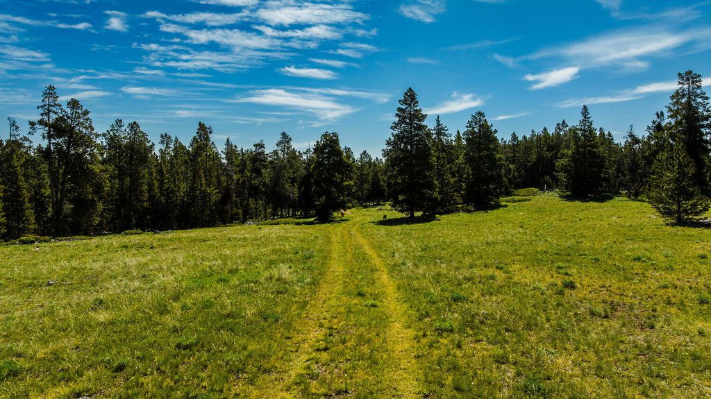 Hazelton Road, Buffalo, WY 82834 photo 17