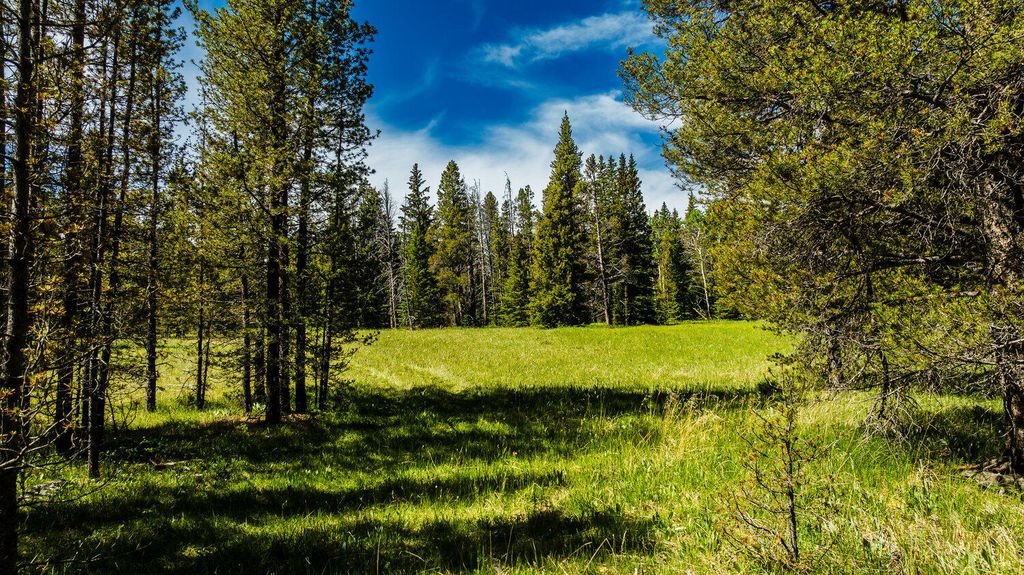 Hazelton Road, Buffalo, WY 82834 photo 19