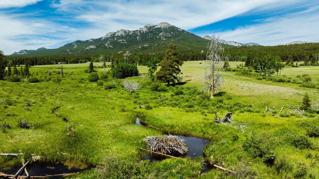 Hazelton Road, Buffalo, WY 82834 photo 2