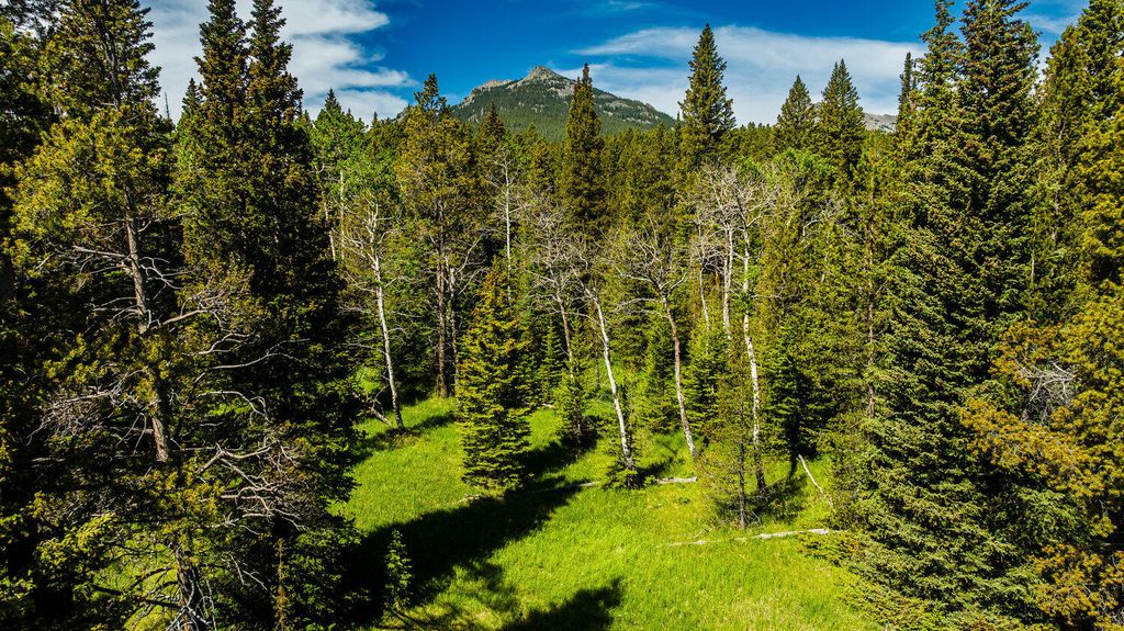 Hazelton Road, Buffalo, WY 82834 photo 21