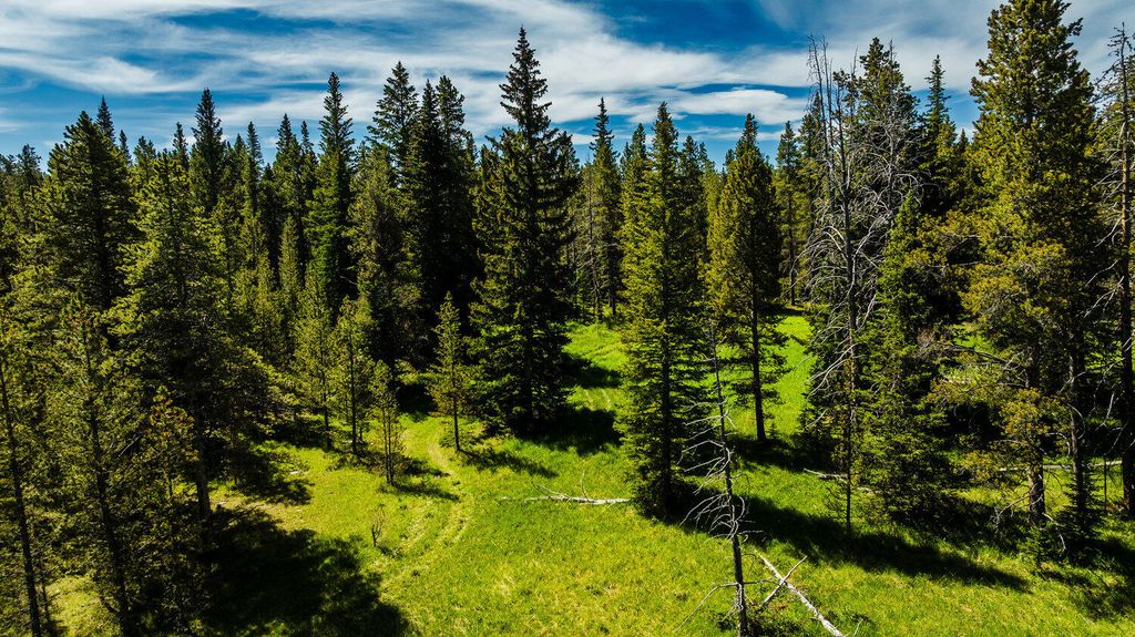 Hazelton Road, Buffalo, WY 82834 photo 22