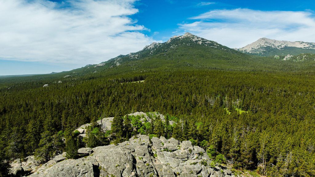 Hazelton Road, Buffalo, WY 82834 photo 25