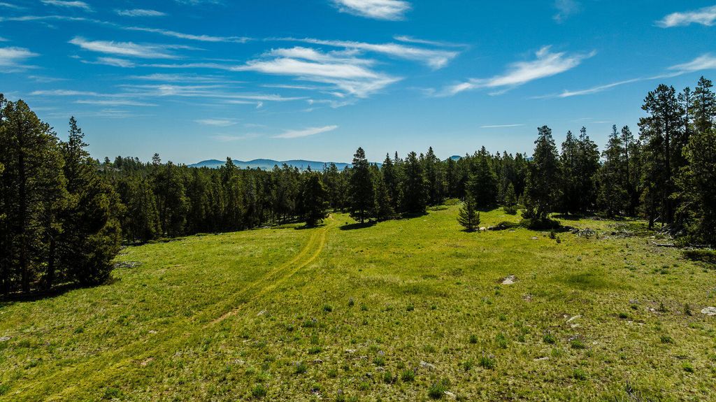 Hazelton Road, Buffalo, WY 82834 photo 3