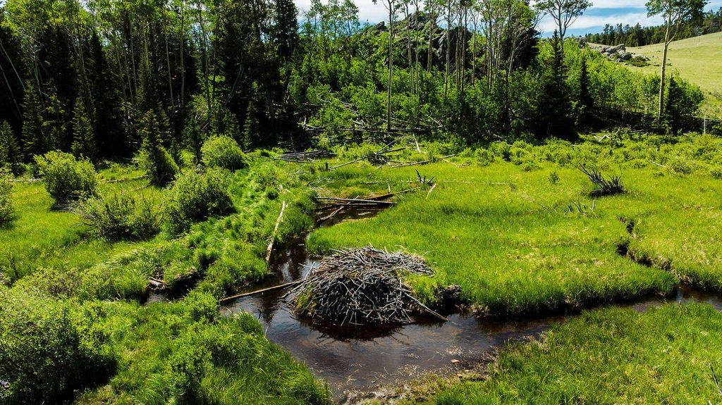 Hazelton Road, Buffalo, WY 82834 photo 33